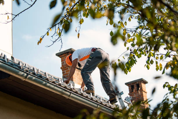 Best Roof Moss and Algae Removal  in Fairmont, NC